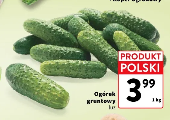 Ogórki gruntowe polskie promocja w Intermarche