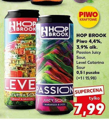 Piwo Hop Brook 4,4% 3,9% alk. Level Catarina Sour promocja w Kaufland