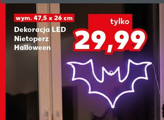 Dekoracja LED Nietoperz Halloween promocja w Kaufland