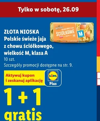 Polskie świeże jaja z chowu ściółkowego Złota Nioska wielkość M 10 szt promocja w Lidl
