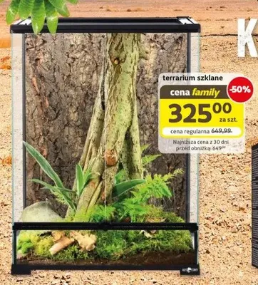Terrarium szklane Repti Planet promocja w Super Zoo