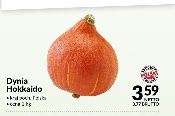 Dynia Hokkaido polska promocja w Makro