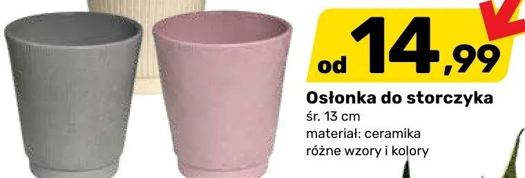 Osłonka do storczyka promocja w Bricomarche