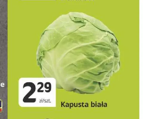 Kapusta biała promocja w Marketvita