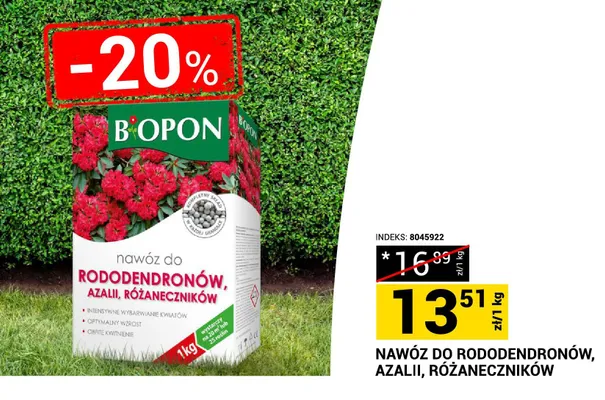 Nawóz do rododendronów, azalii, różaneczników promocja w Merkury Market