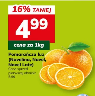 Pomarańcza luz (Navelina, Navel, Navel Late) promocja w Hitpol