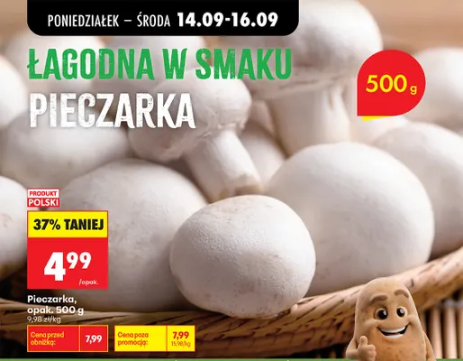 Pieczarka promocja w Biedronka