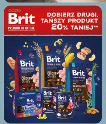 Karma dla psów Brit promocja w Biedronka