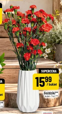 Goździki bukiet 7 szt. promocja w POLOmarket