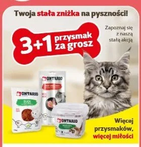 Przysmaki dla kota Ontario promocja w Super Zoo