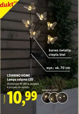 Lampa solarna LED motyle promocja w Lidl