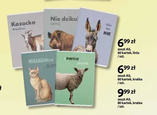 Zeszyt A5 60 kartek kratka promocja w Empik