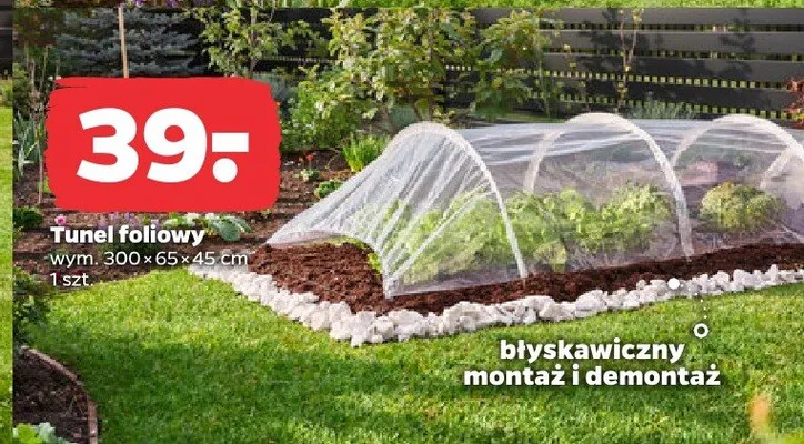 Tunel foliowy promocja w Netto