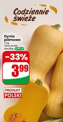 Dynia piżmowa promocja w Dino