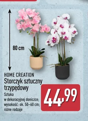 Storczyk sztuczny trzypędowy Home Creation promocja w Aldi