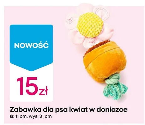 Zabawka dla psa kwiat w doniczce promocja w Pepco