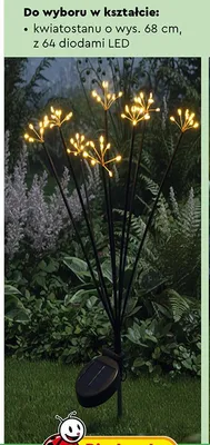 Lampa solarna LED kwiatostan promocja w Biedronka