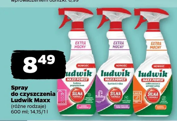 Spray do czyszczenia Ludwik Maxx promocja w Netto