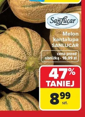 Melon kantalupa SanLucar promocja w Carrefour