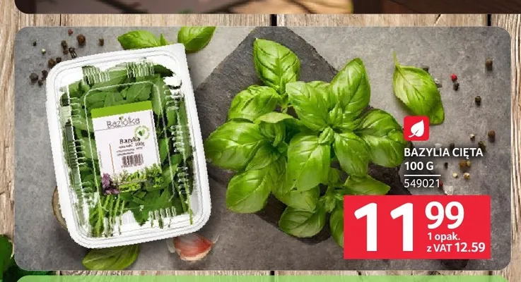 Bazylia cięta promocja w Selgros