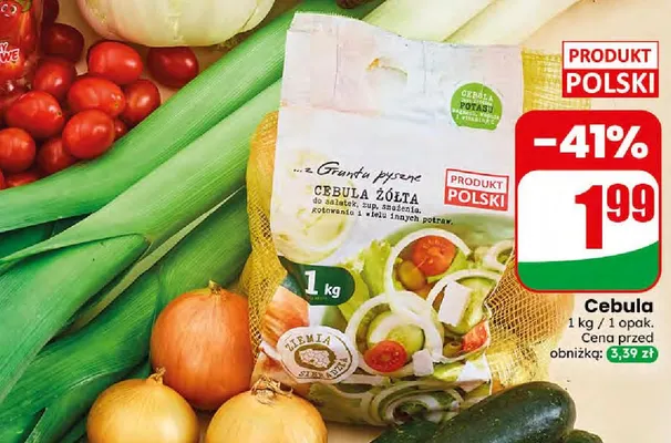 Cebula promocja w Dino