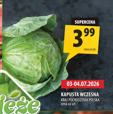 Kapusta wczesna promocja w Arhelan