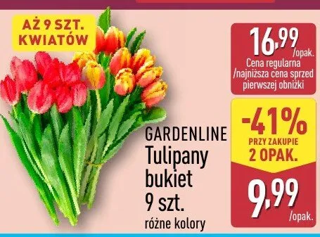 Tulipany bukiet 9 szt. różne kolory promocja w Aldi