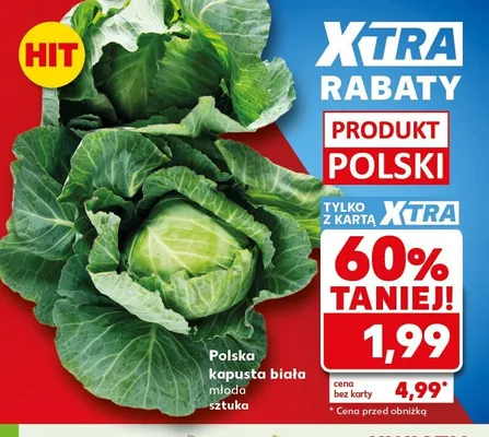 Kapusta biała młoda promocja w Kaufland