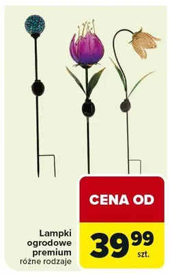 Lampki ogrodowe premium różne rodzaje promocja w Carrefour