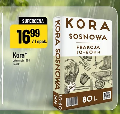 Kora sosnowa frakcja 10-60 mm promocja w POLOmarket