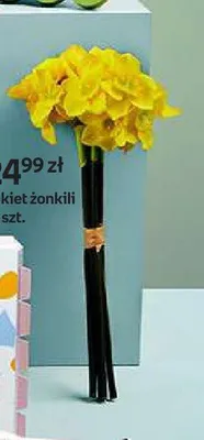 Bukiet żonkili promocja w Empik