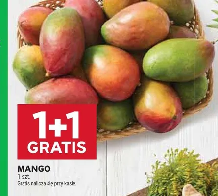 Mango promocja w Stokrotka