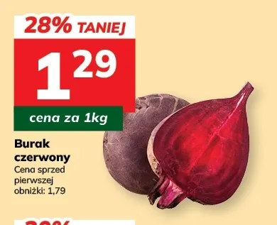 Burak czerwony młody promocja w Hitpol