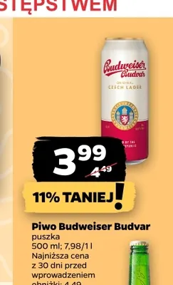 Piwo Budweiser Budvar promocja w Netto
