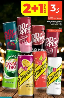 Napój gazowany Schweppes Mojito promocja w Dealz