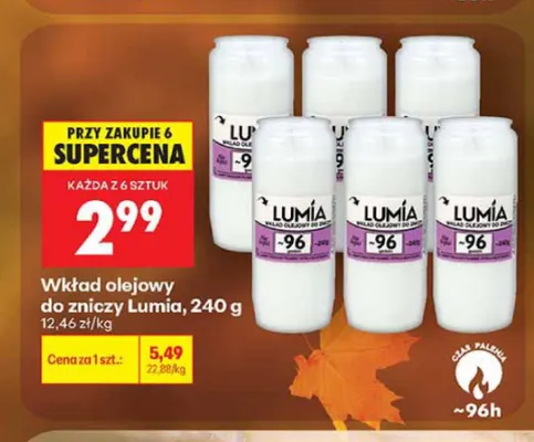 Wkład olejowy do zniczy Lumia promocja w Biedronka