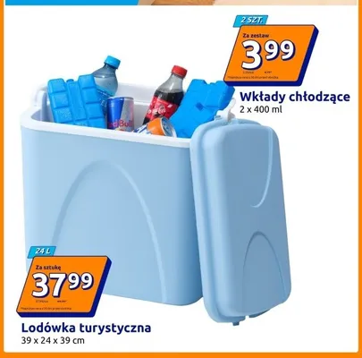 Lodówka turystyczna 24 l promocja w Action