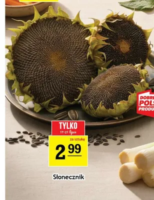 Słonecznik polski promocja w Gram Market