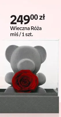 Wieczna Róża miś promocja w Empik