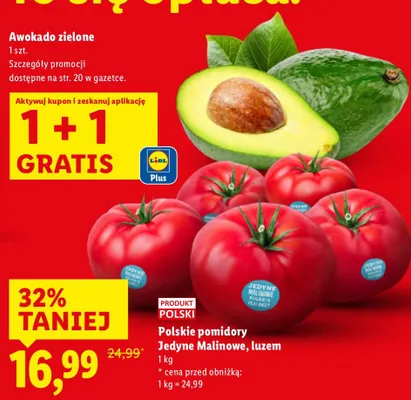 Awokado zielone promocja w Lidl