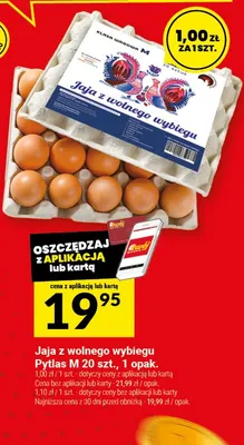 Jaja z wolnego wybiegu Pytlas M 20 szt. promocja w Twój Market