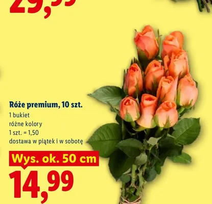 Róże premium promocja w Lidl