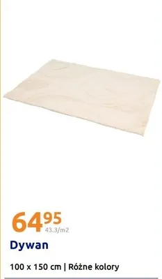 Dywan 100x150 cm promocja w Action
