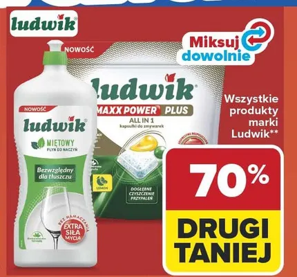 Produkty Ludwik promocja w Carrefour