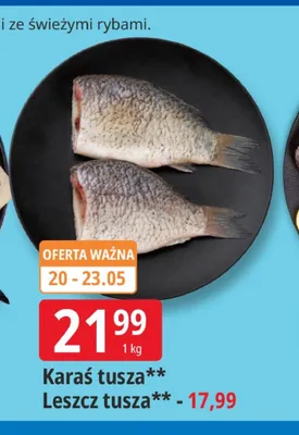 Karaś tusza promocja w Leclerc