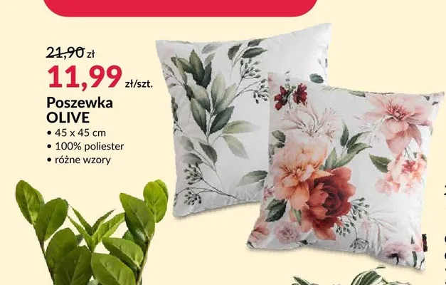 Poszewka OLIVE promocja w Salony Agata