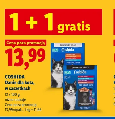 Danie dla kota w saszetkach chunks in jelly Coshida 12-pak promocja w Lidl