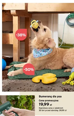 Bumerang dla psa promocja w Tchibo