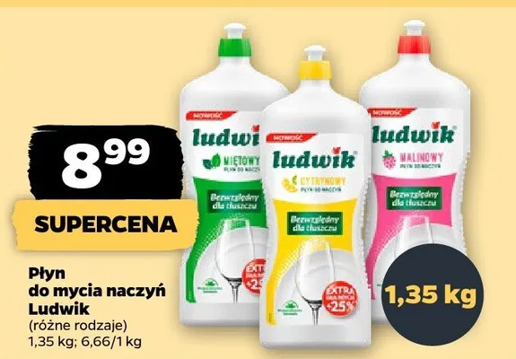 Płyn do mycia naczyń Ludwik promocja w Netto