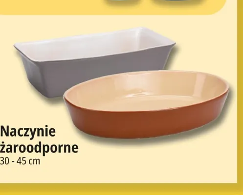 Naczynie żaroodporne 30-45 cm promocja w Leclerc